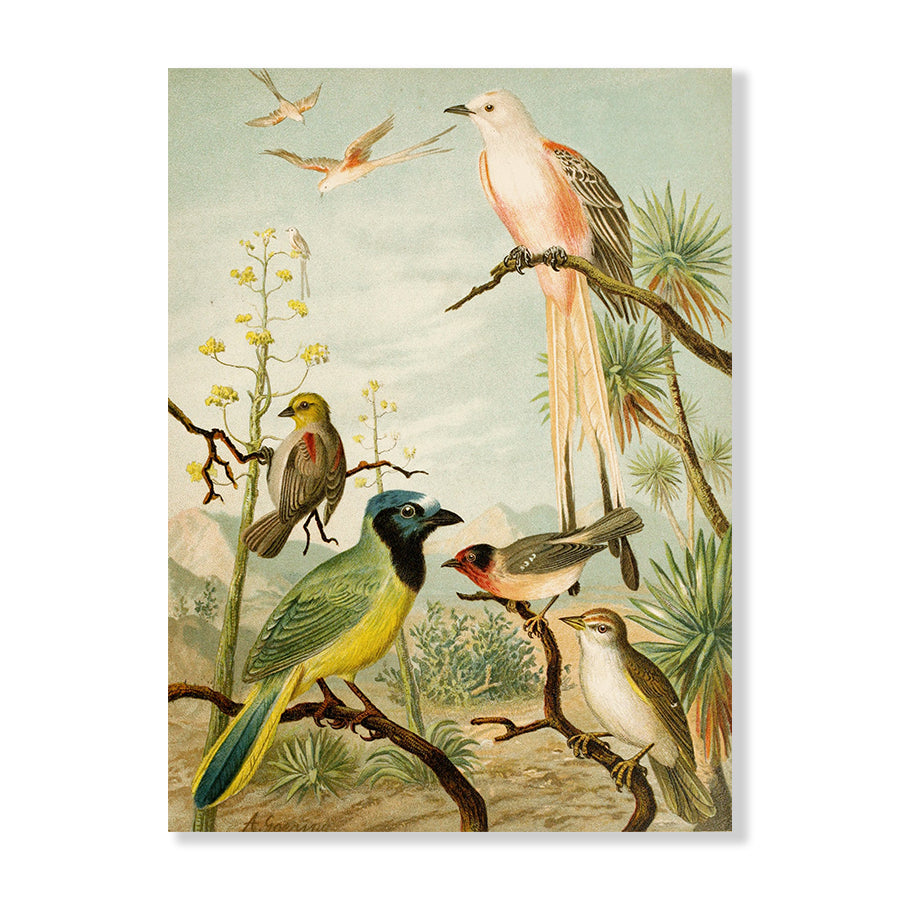 Avery Collection - Jasper & Jute