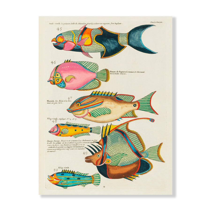 The Deep Sea - Jasper & Jute