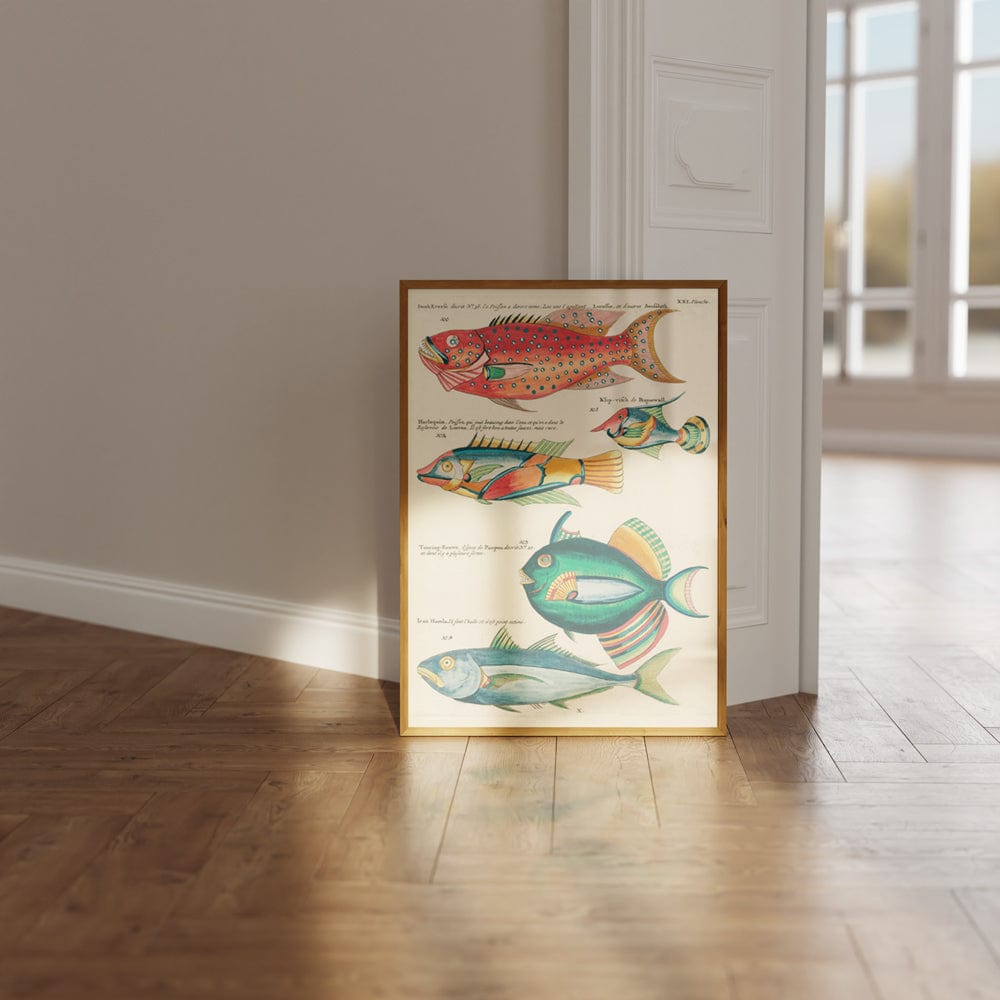 Louis Renard Illustration V