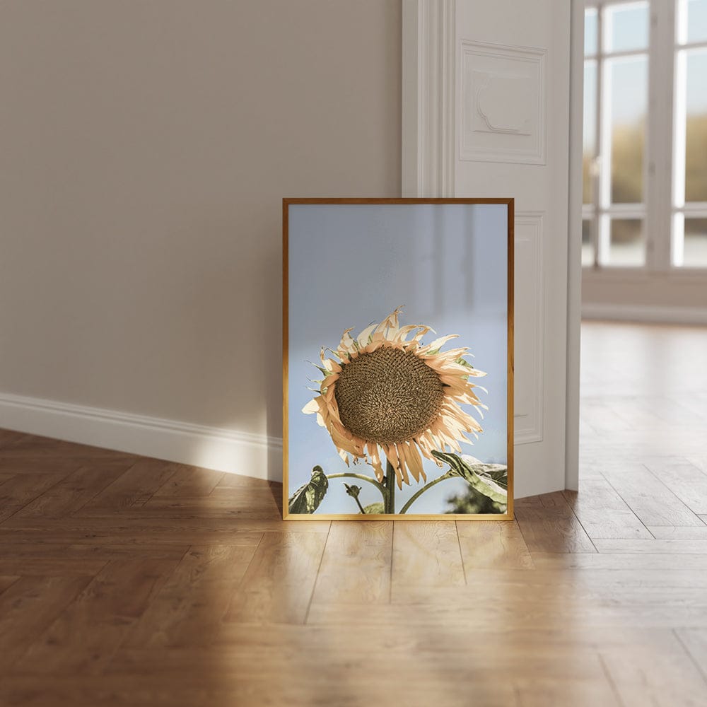 Sunny Bloom