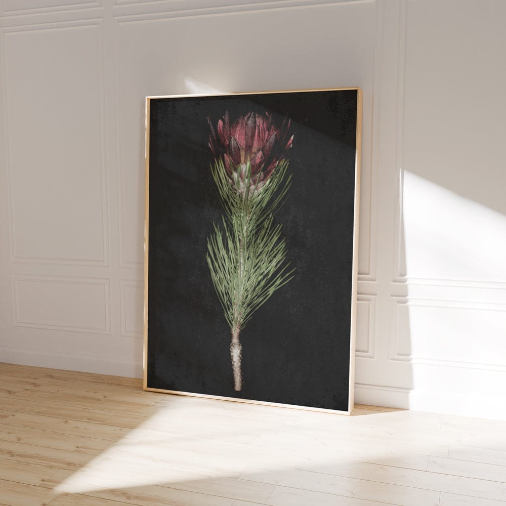 Protea