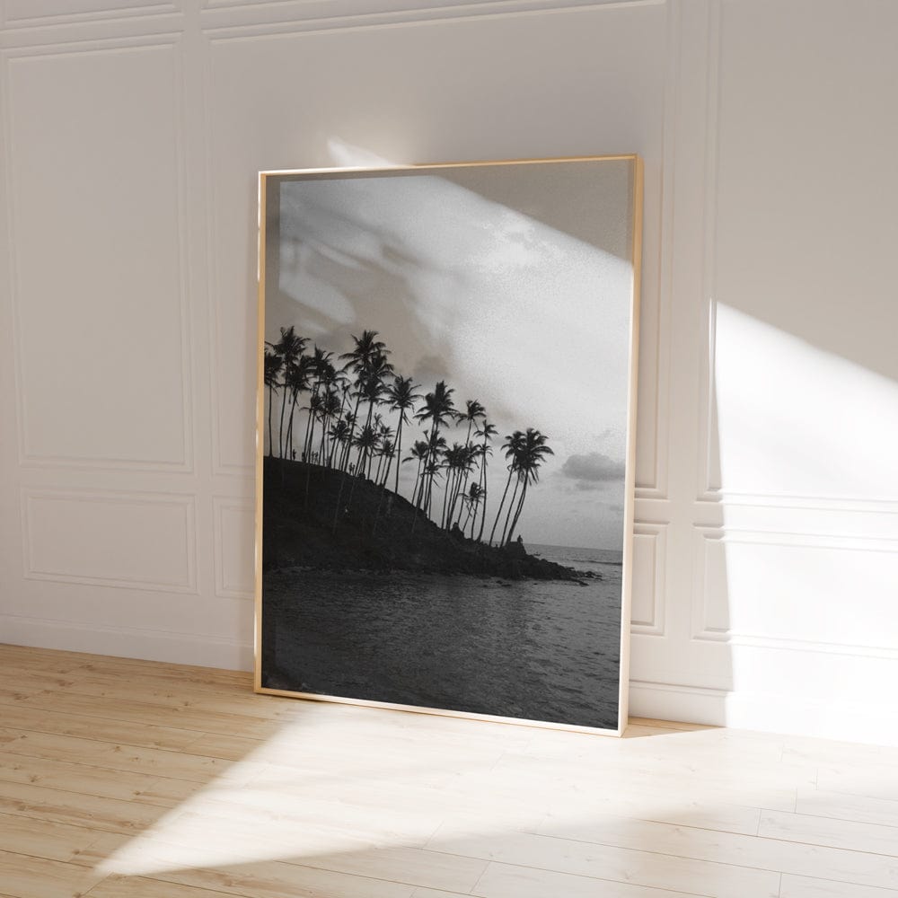 Palm Tree III