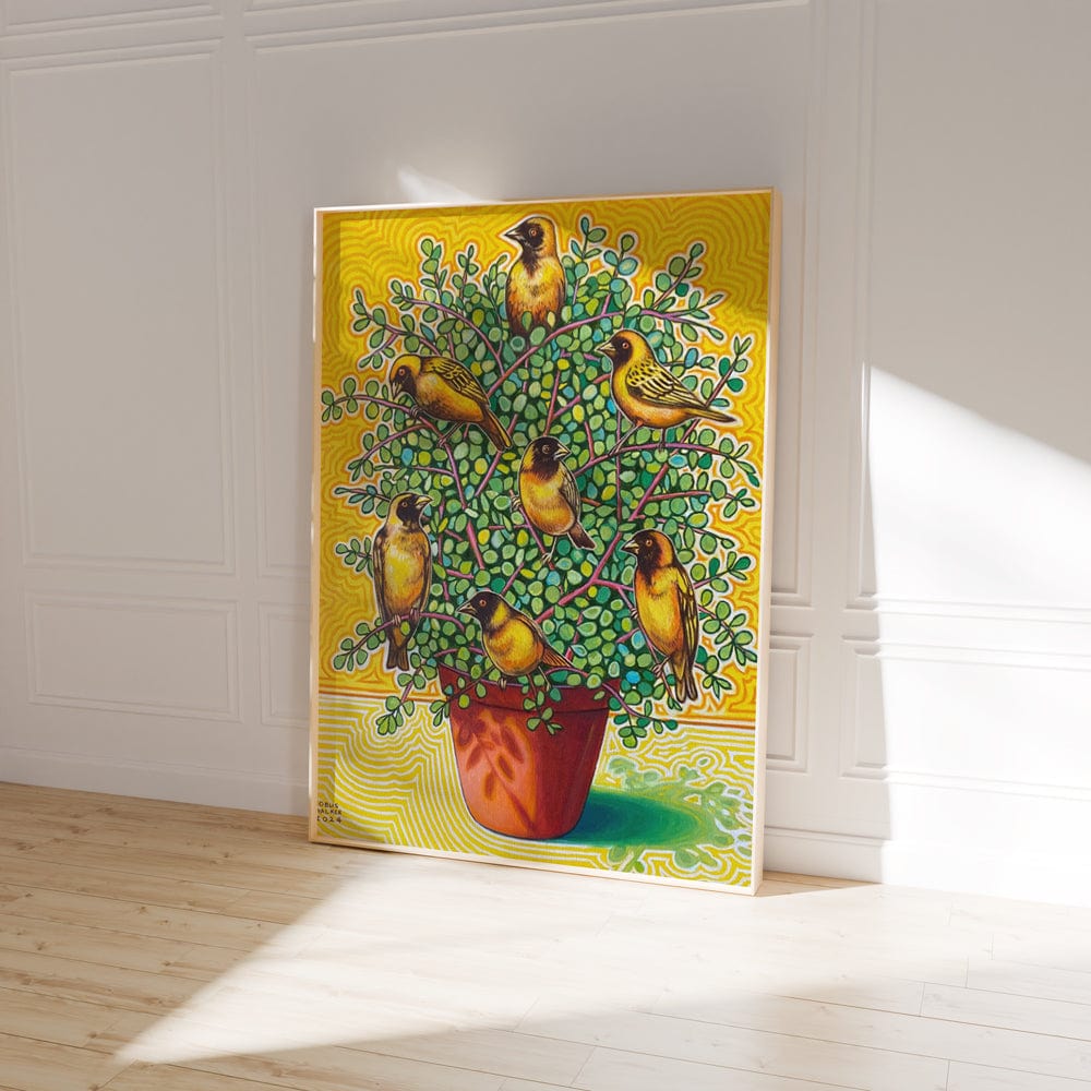 Spekboom With Yellow Weavers