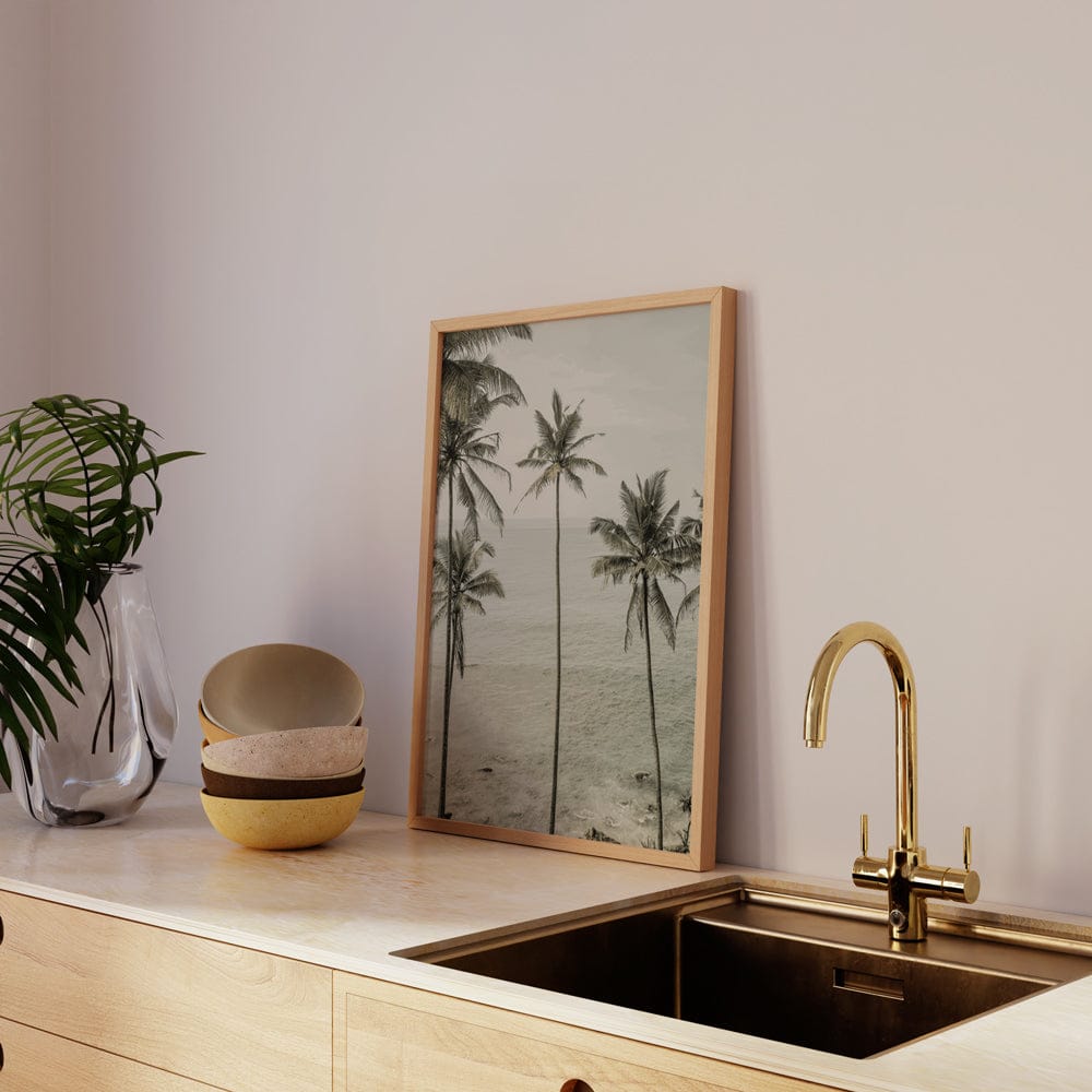 Tropical Dreams
