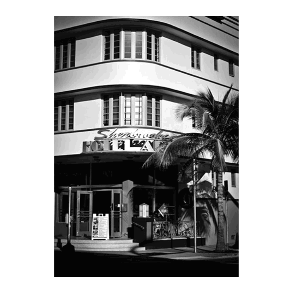 Palm Springs Drama
