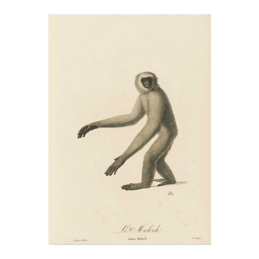 Le Moloch
