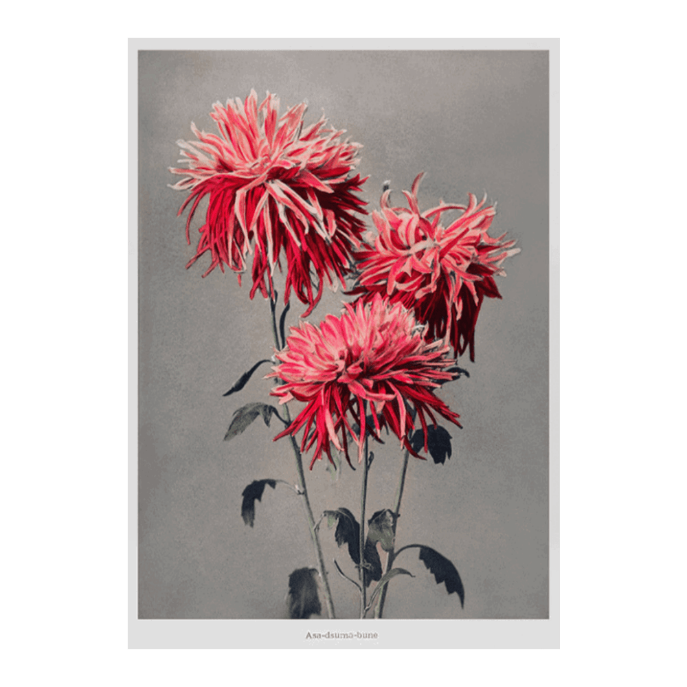 Ogawa Kazumasa Floral VI