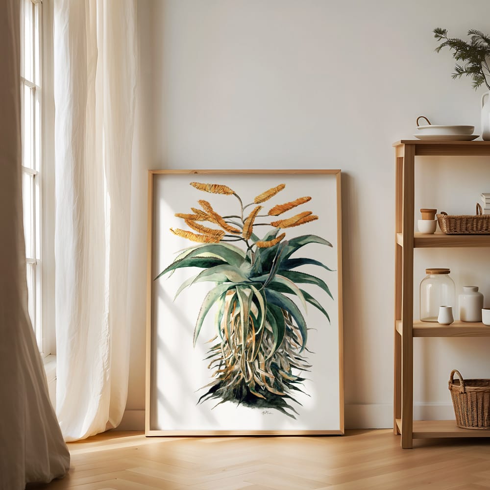 Aloe