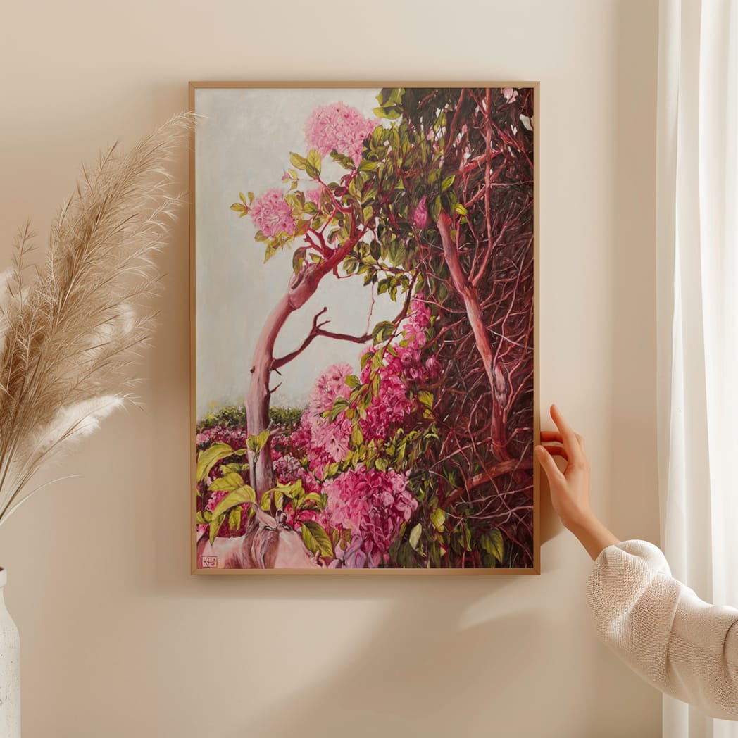 Bougainvillea
