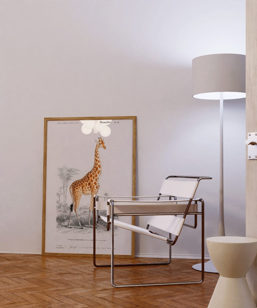 Giraffe (Giraffa Camelopardalis)