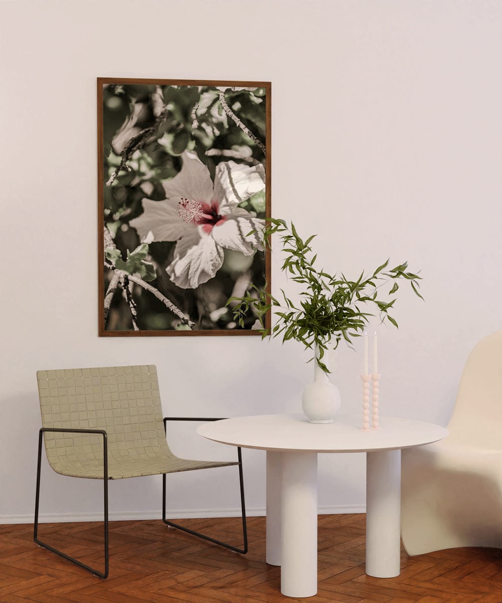 Pale Pink Hibiscus