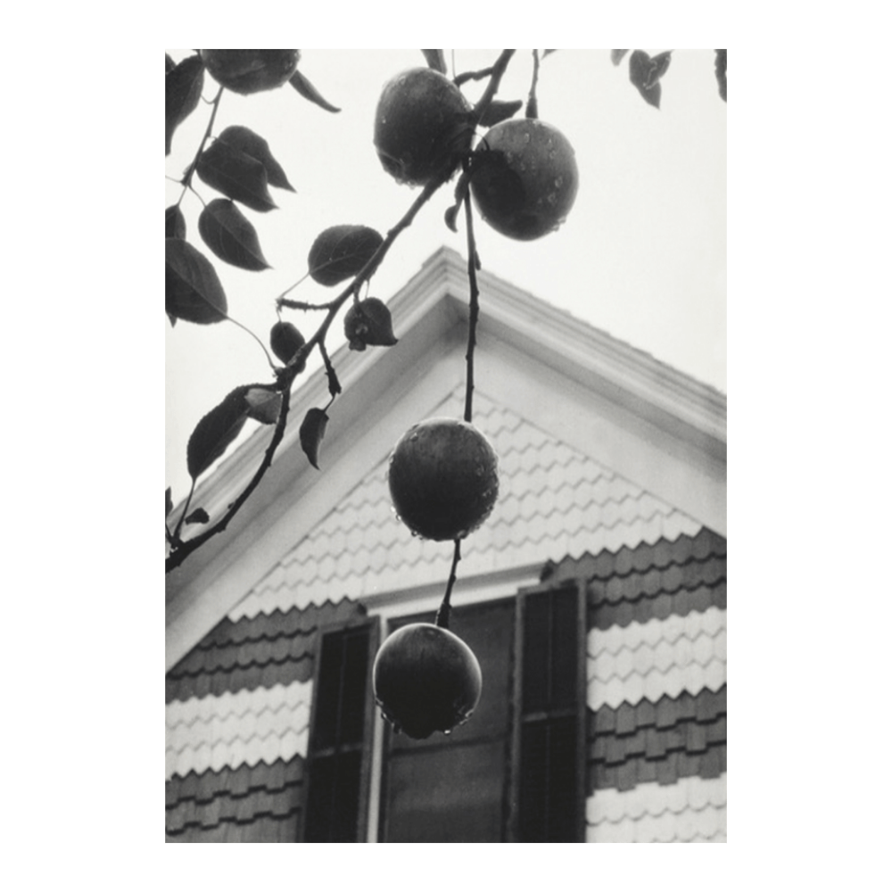 Alfred Stieglitz: "Gable and Apples" (1922)