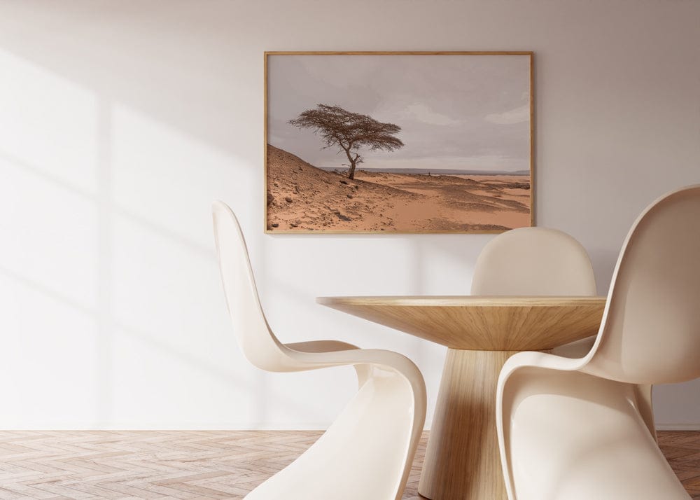 Tree In The Sahara Desert