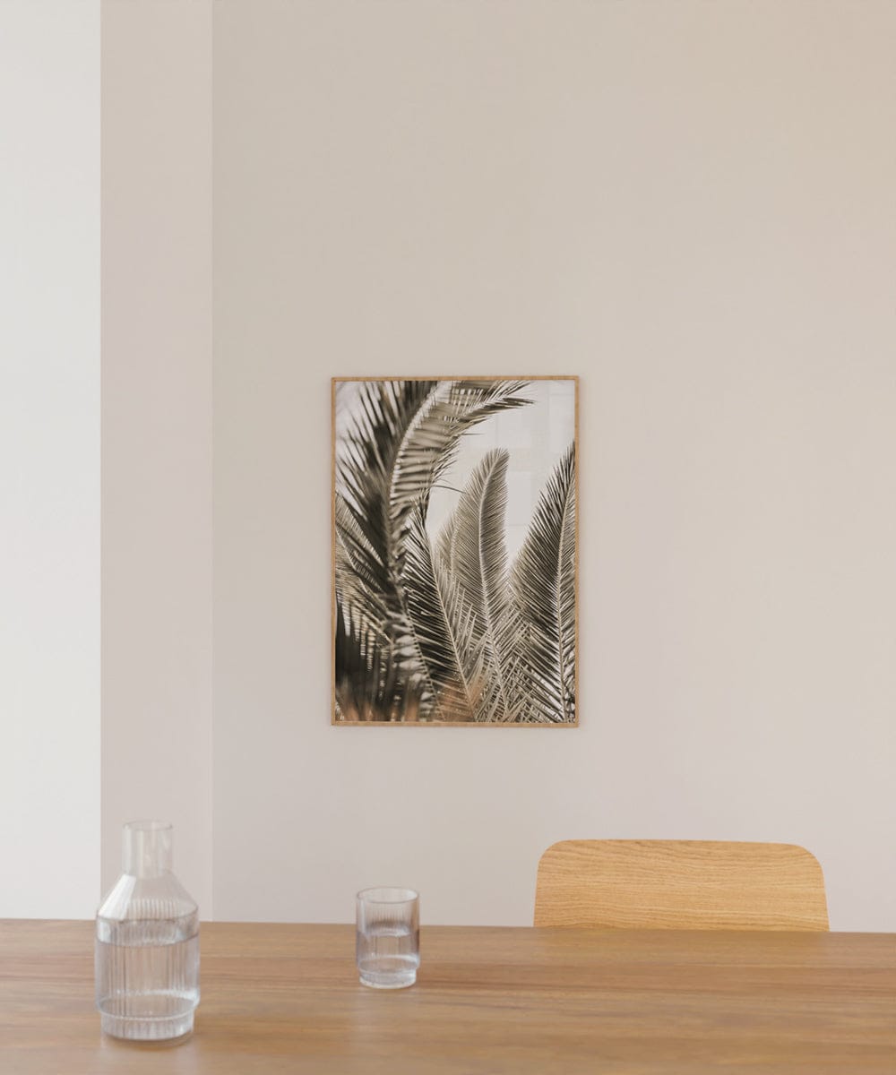 Palm Love