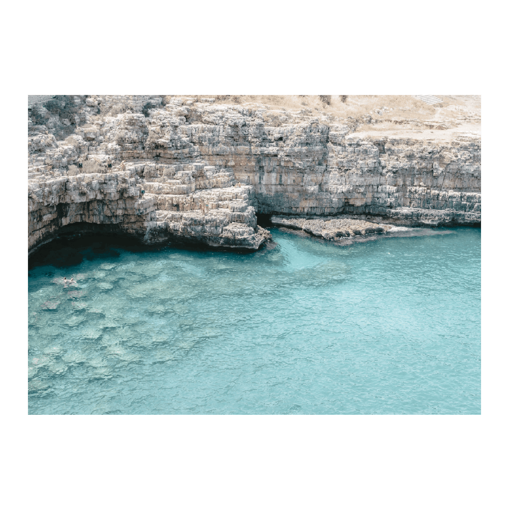 Jump In The Sea