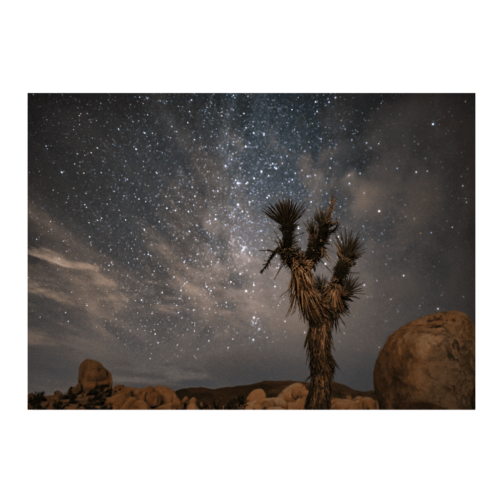 Supernova Nights I