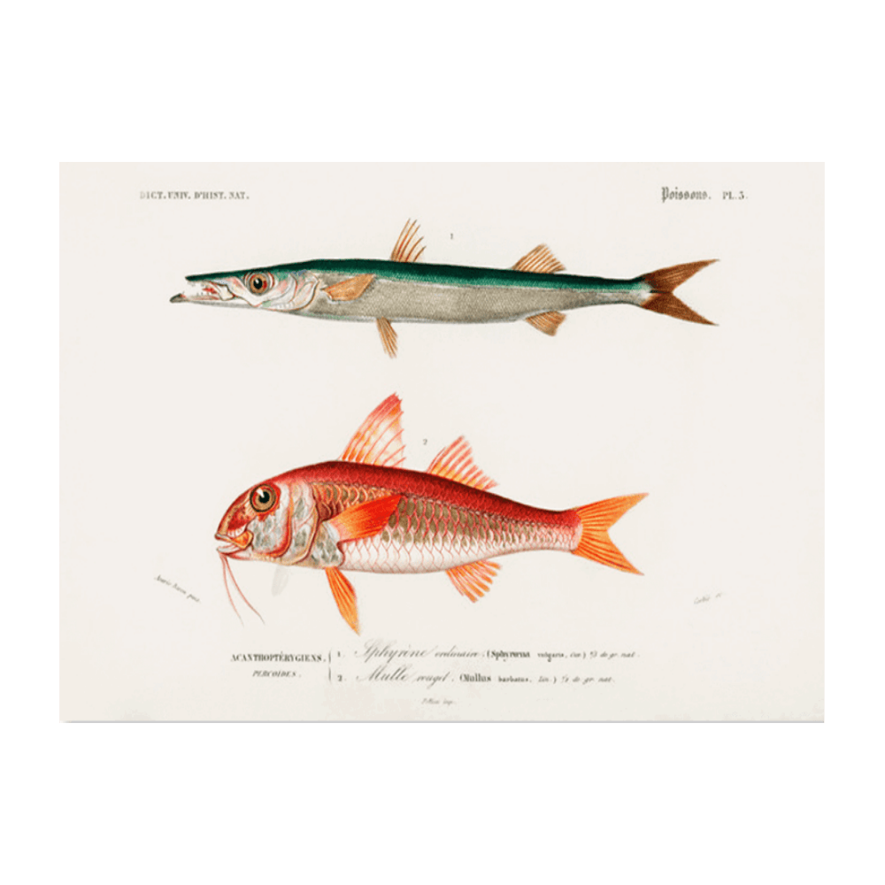 Poissons III
