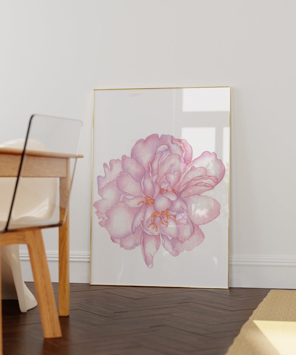 Periwinkle Peony