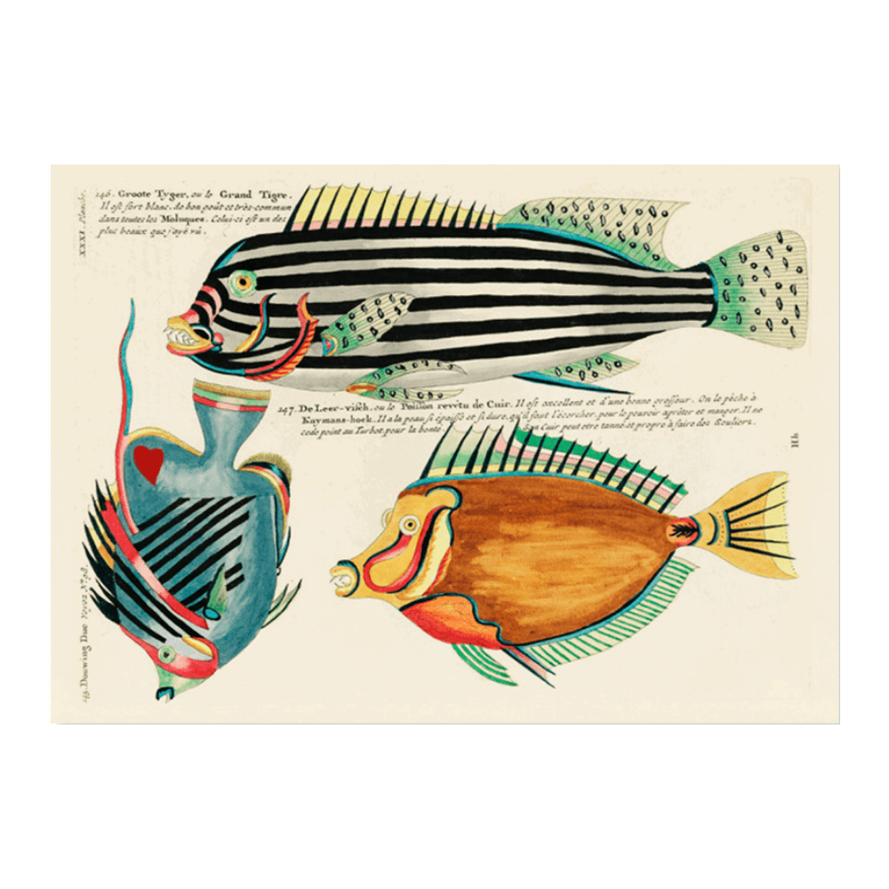 Louis Renard Illustration VII