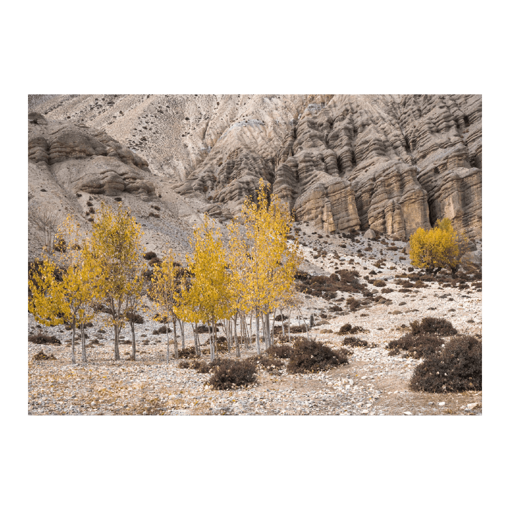 Autumn In The Himalayas