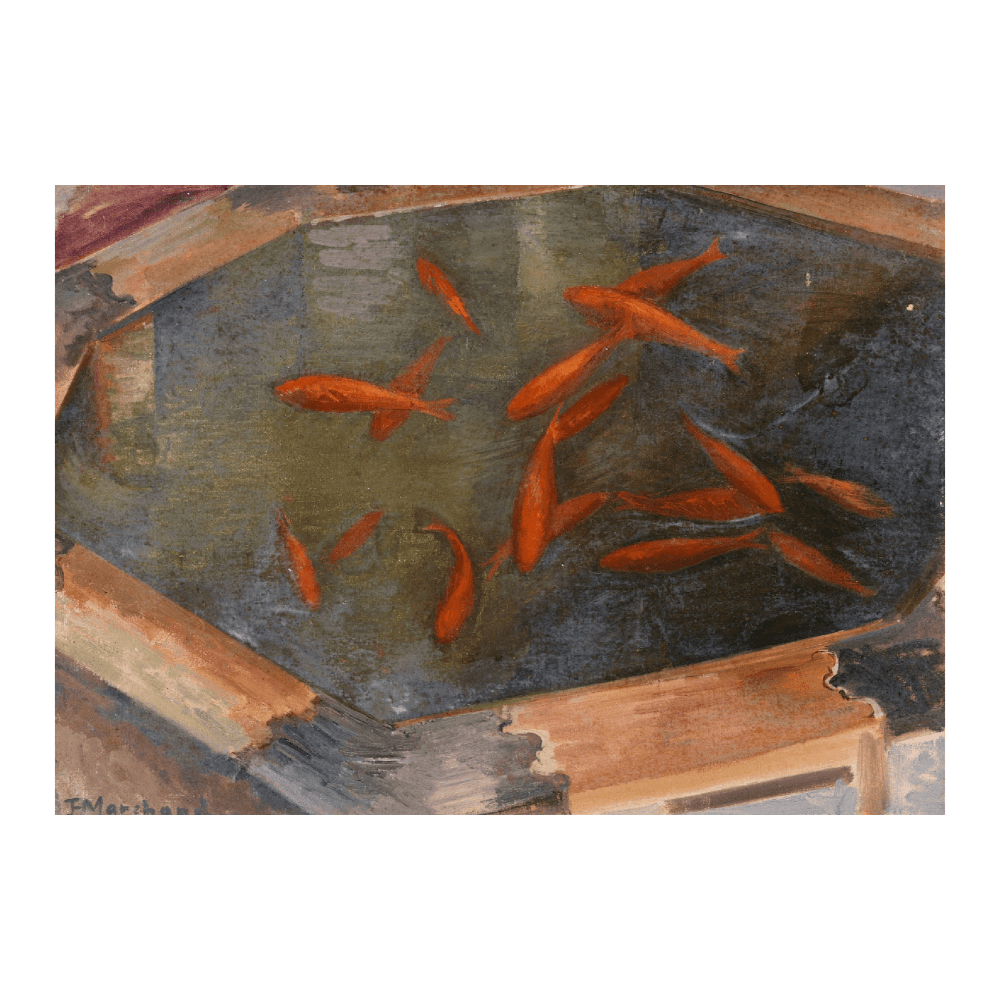 Goldfish