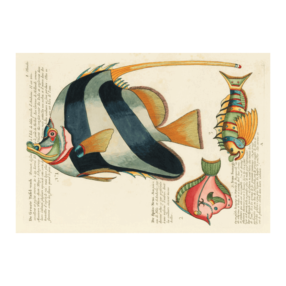 Louis Renard Illustration IV