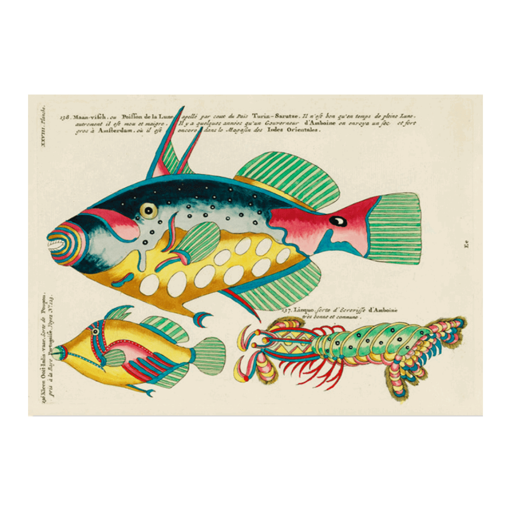 Louis Renard Illustration II