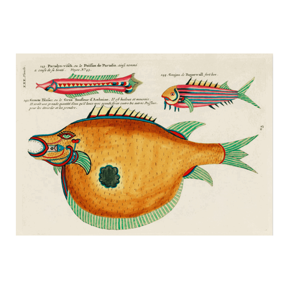 Louis Renard Illustration III