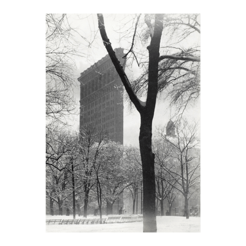 Alfred Stieglitz: 