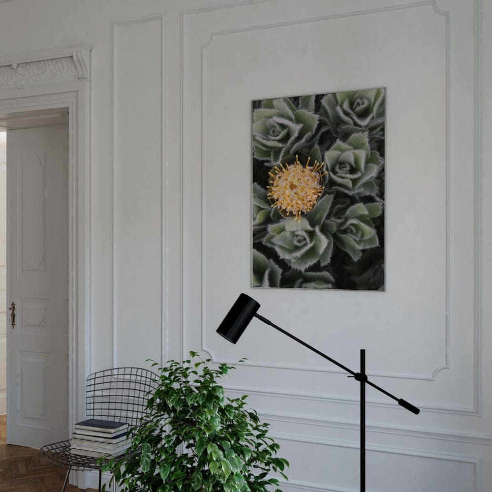 Huri