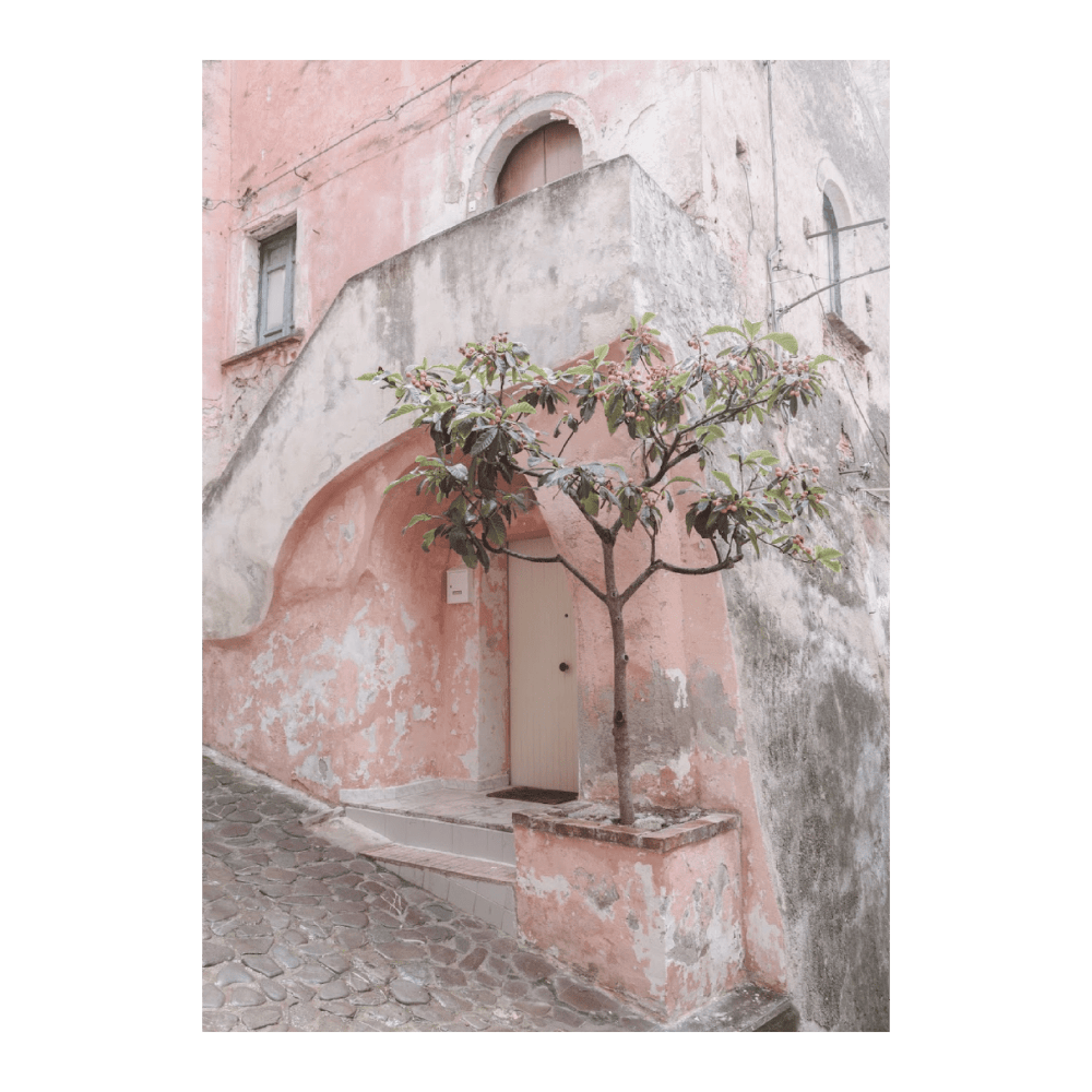 Pink House