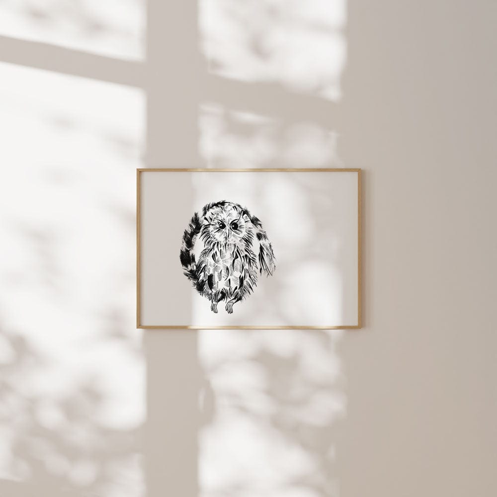 Owl
