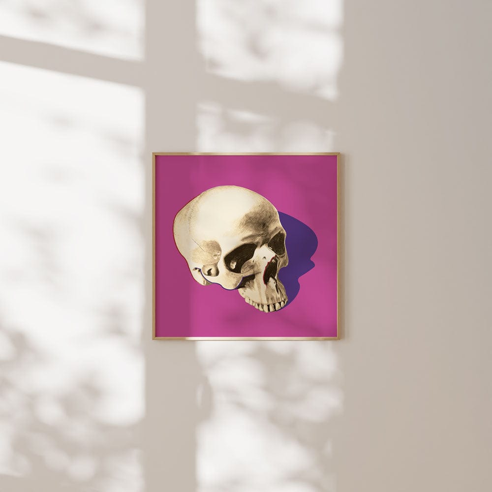 POP SKULL IV
