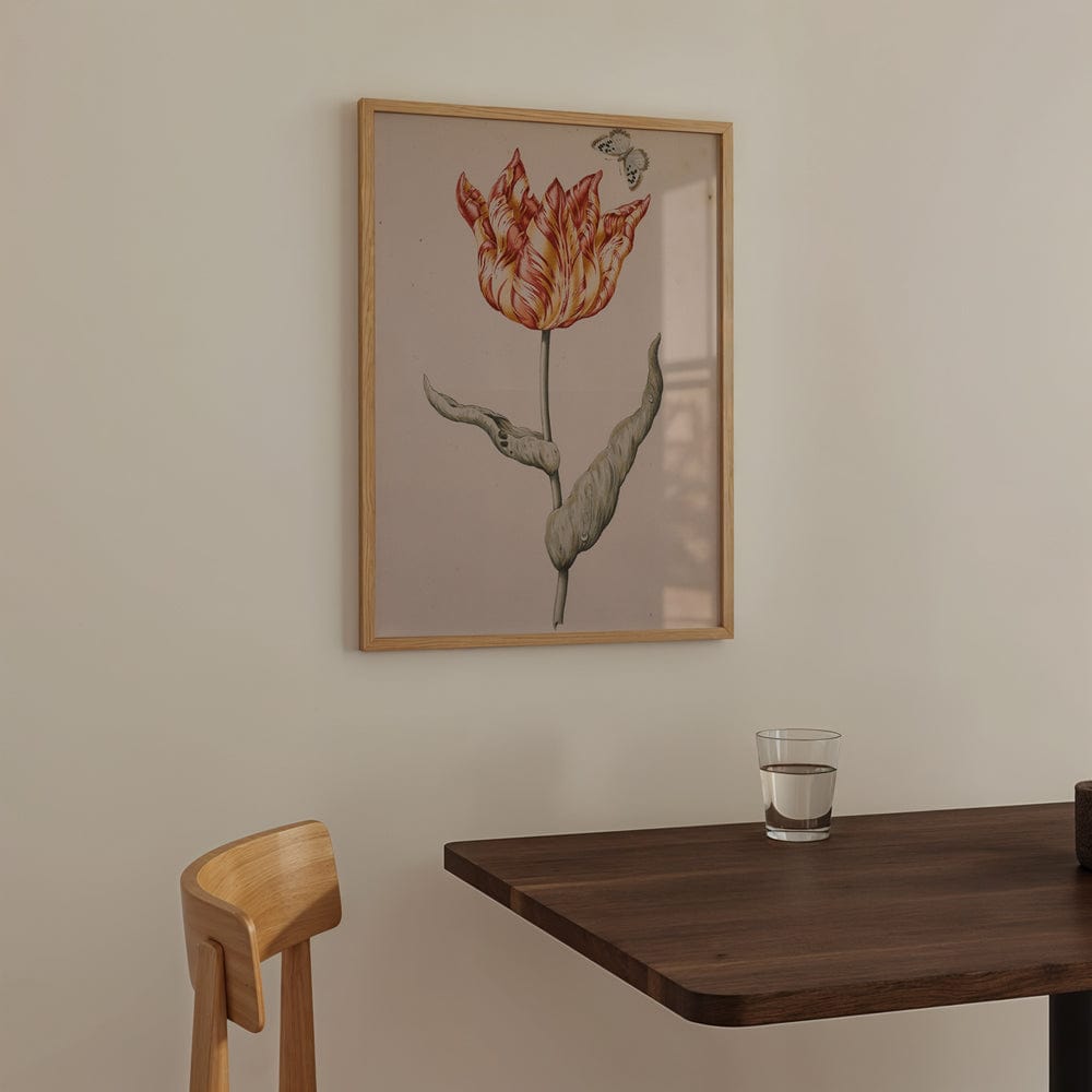 A Tulip With A Butterfly