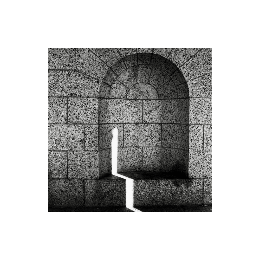 A Sunbeam Sitting Quietly Contemplating The Day