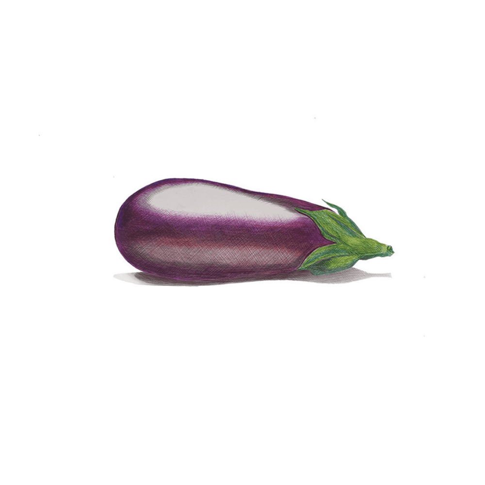 AUBERGINE