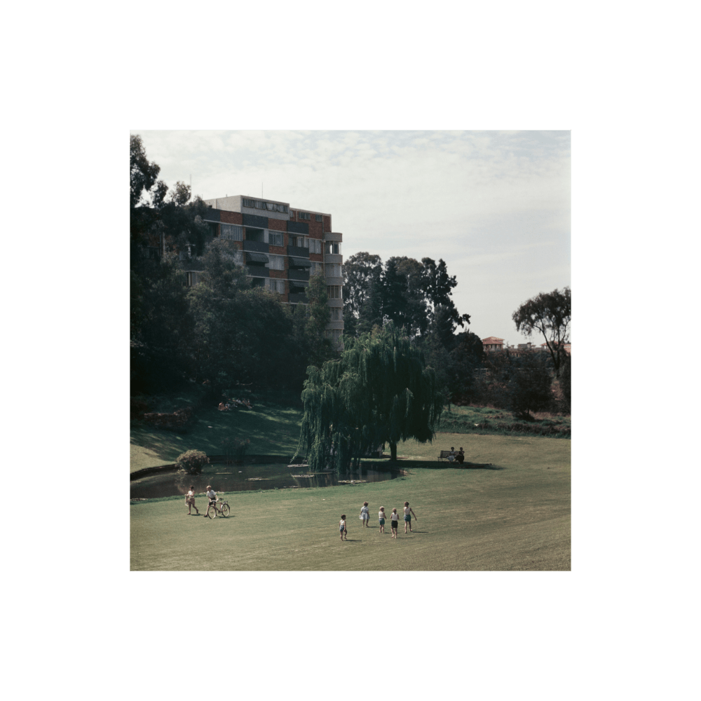 A Walk In The Park