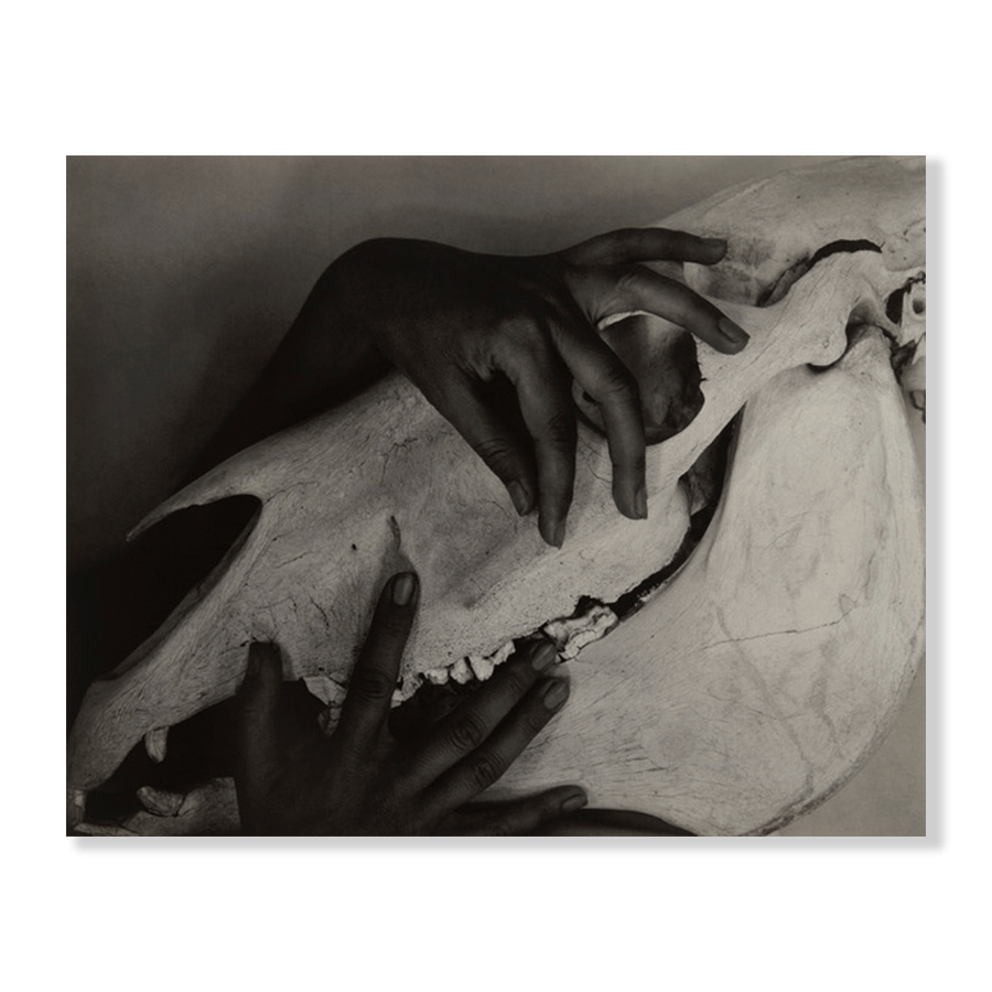Alfred Stieglitz: "Georgia O'Keeffe - Hands and Horse Skull" (1931) - Jasper & Jute