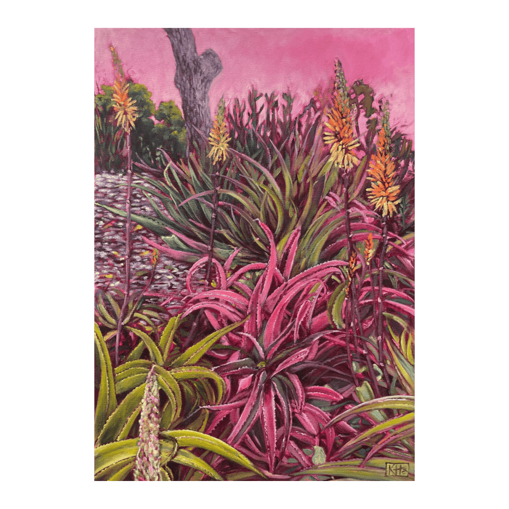 Aloe Aloe