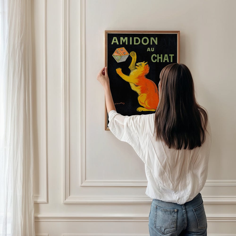 Amidon Au Chat