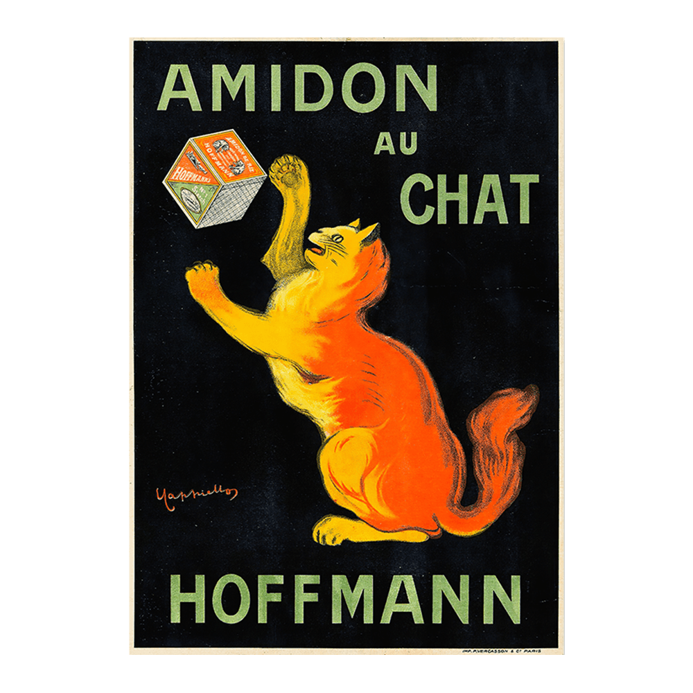 Amidon Au Chat