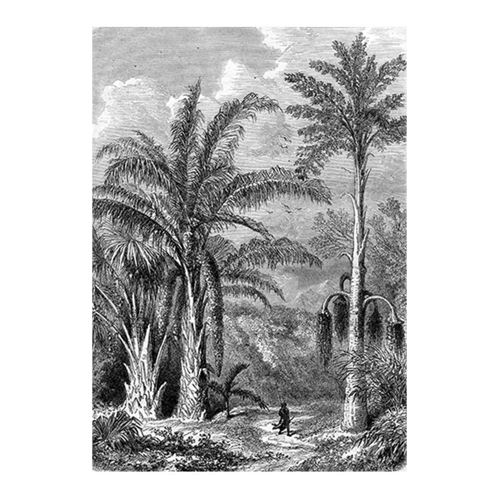 Antique Etching IV
