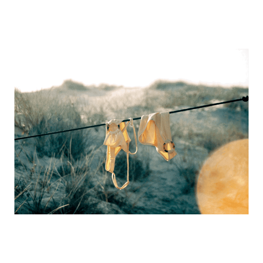 Sunset | Limited Edition