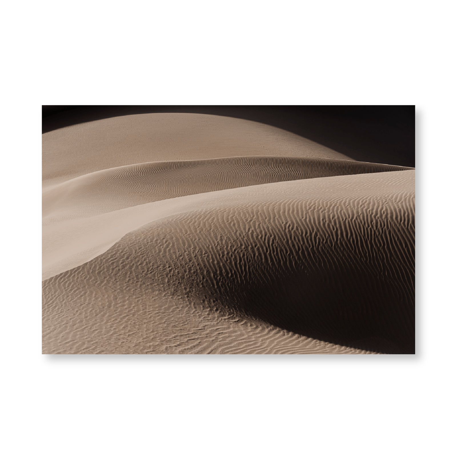 Art Of A Sand Dune - Jasper & Jute