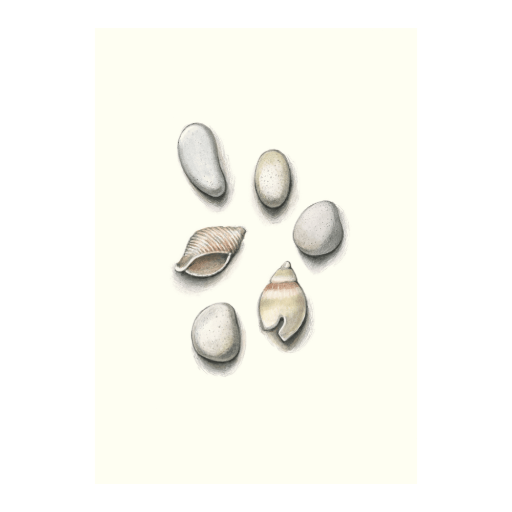 Beach Walks | Limited Edition