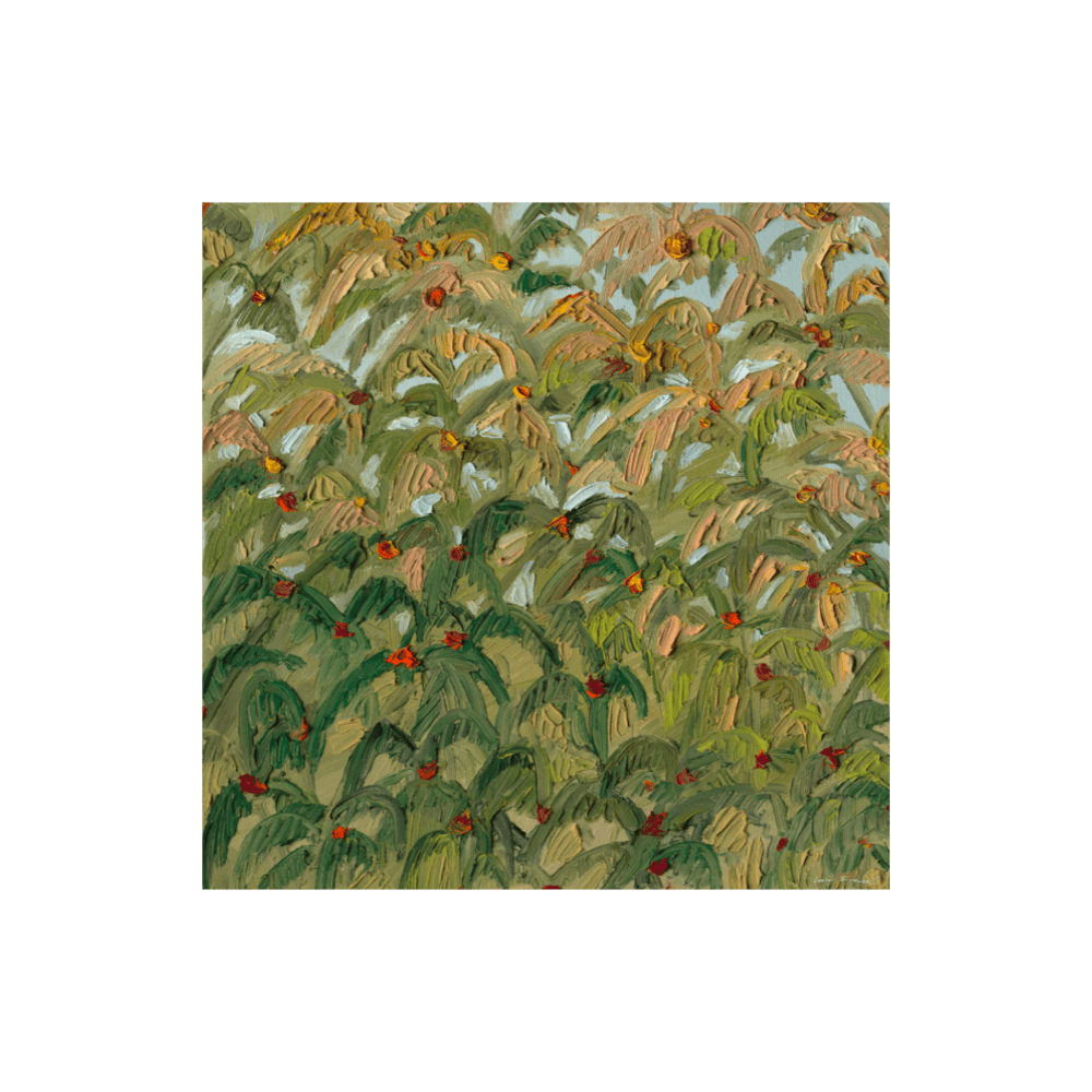 Between Fronds Light I | Limited Edition