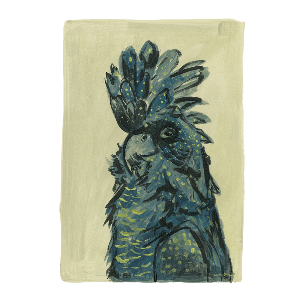 Black Cockatoo Portrait