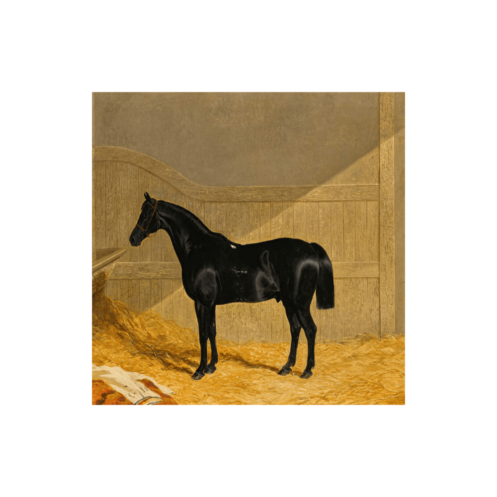 Black Horse In A Stable (1830) (100% off)