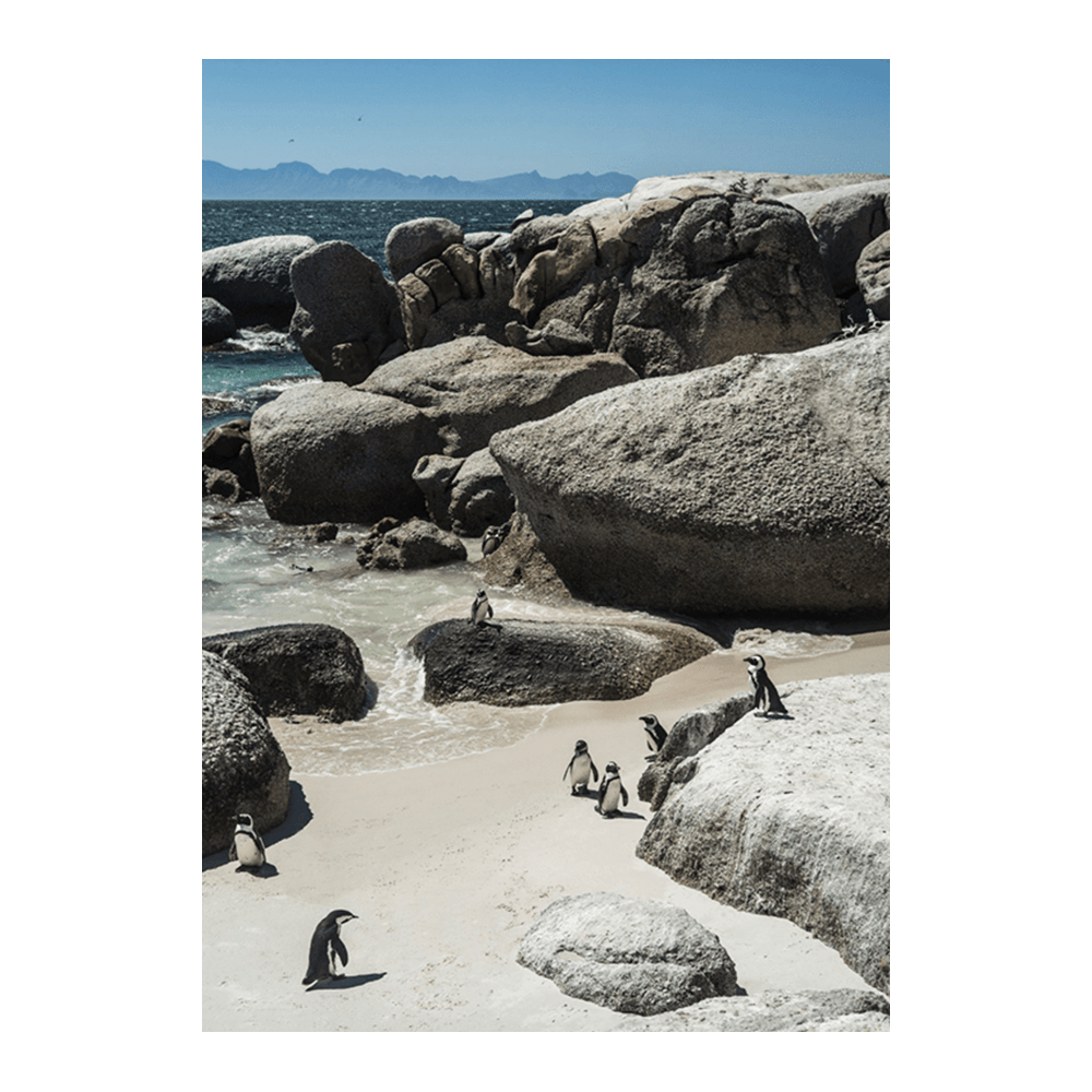 Boulders Beach