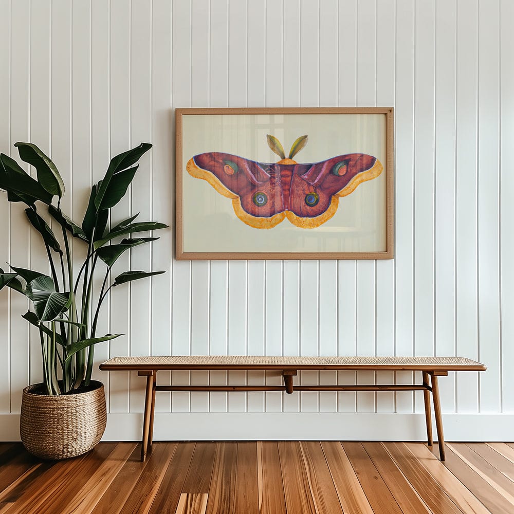 Butterfly Effect